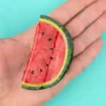 Watermelon Hair Claw