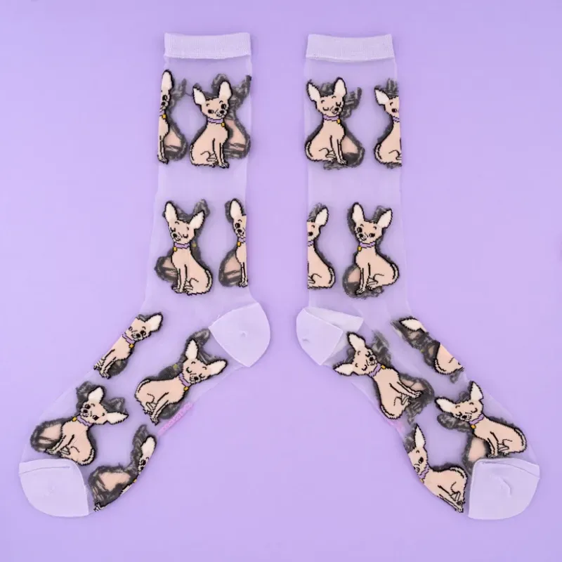 Φωτογραφία από Chihuahua Sheer Socks