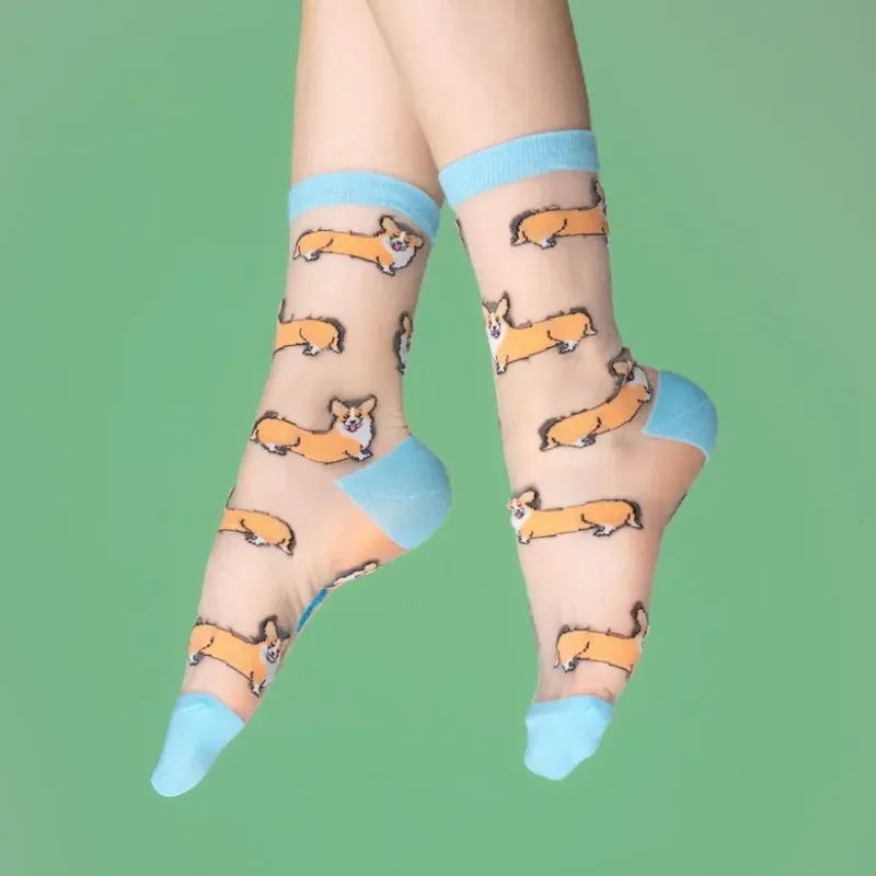 Φωτογραφία από Corgi Sheer Socks